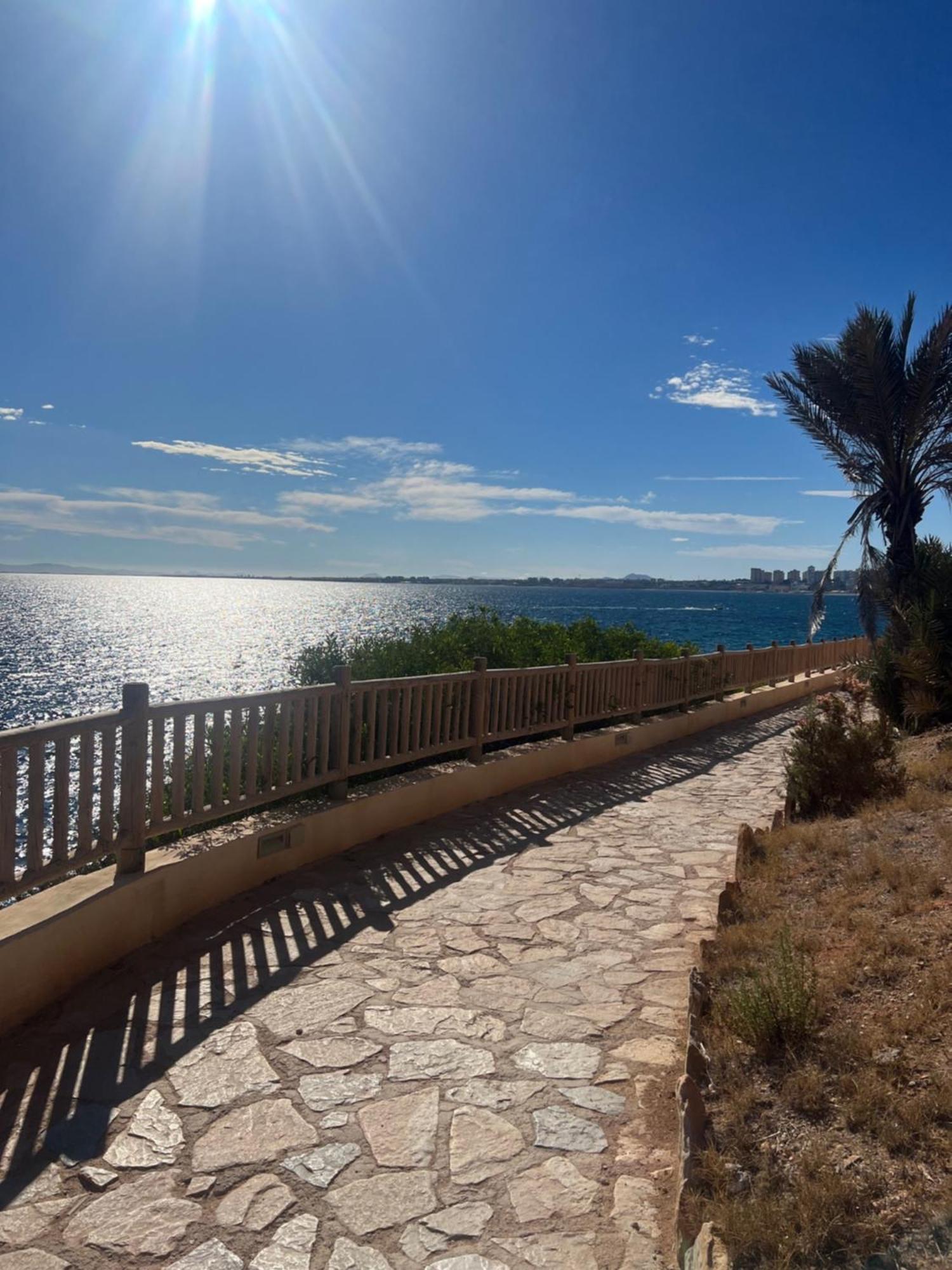 Playa Flamenca - Turquesa Del Mar - Great Sea View! Lägenhet Exteriör bild
